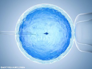 三代试管生儿子